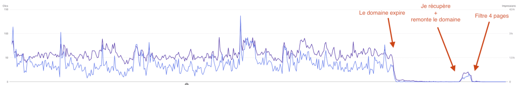 impression d'écran search console d'un site avec un filtre 4 pages